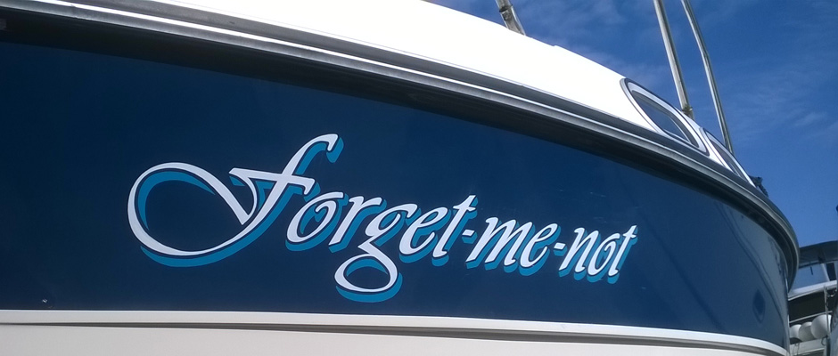 Forget Me Not